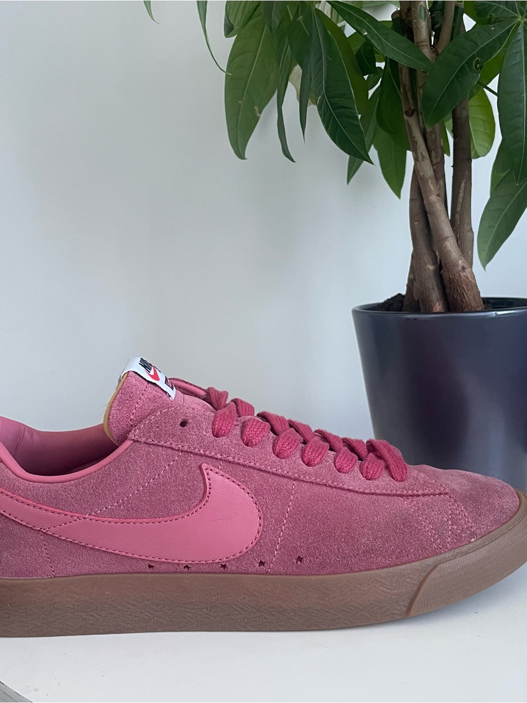 Men Size 9.5 Nike Sb Blazer Low Gt Supreme Desert Bloom Shoes